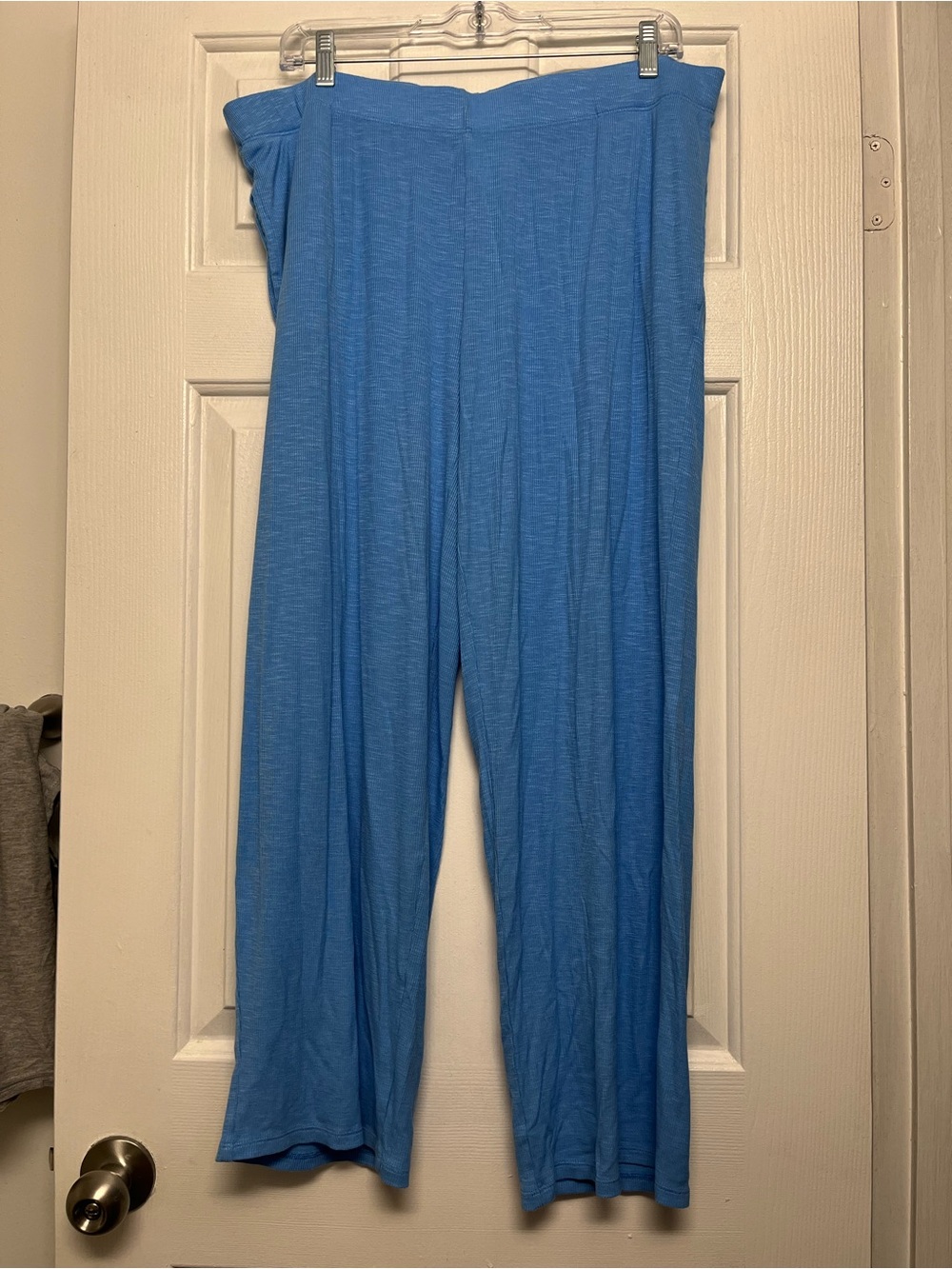 Wide Leg Women's Pants in Sky Blue